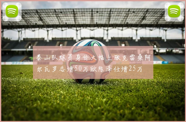 泰山队球员身价大幅上涨克雷桑阿尔瓦罗各增50万欧陈泽仕增25万